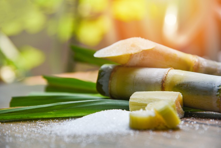 White sugar and sugar cane on wooden table and nature background